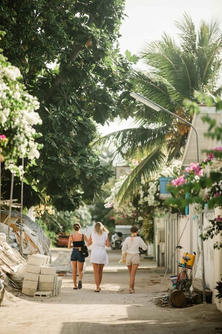 Three women walking down a lush tropical street filled with greenery and palm trees.