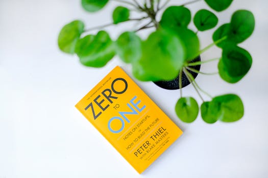 Overhead view of 'Zero to One' book next to a green plant on a white surface.