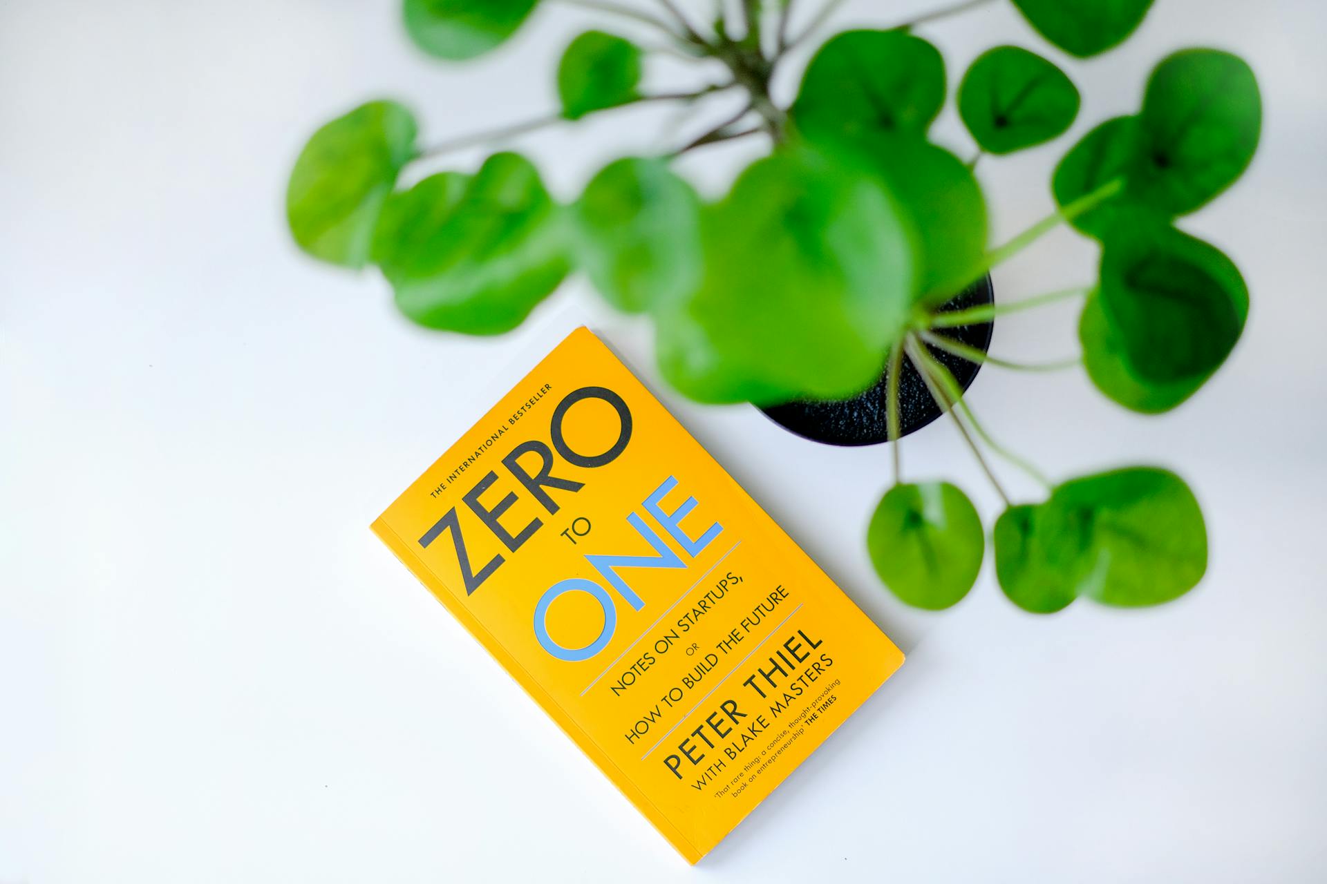 Overhead view of 'Zero to One' book next to a green plant on a white surface.