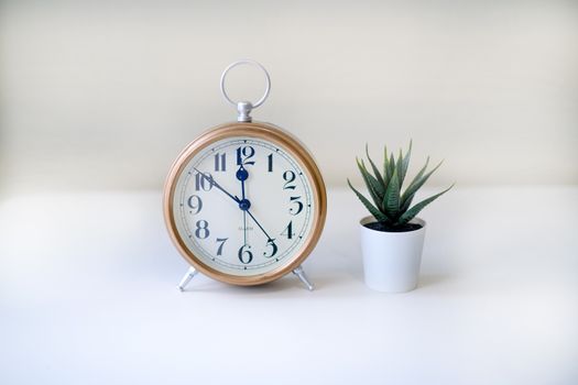 Elegant still life of a wooden clock and succulent plant on a white background, perfect for modern interiors.