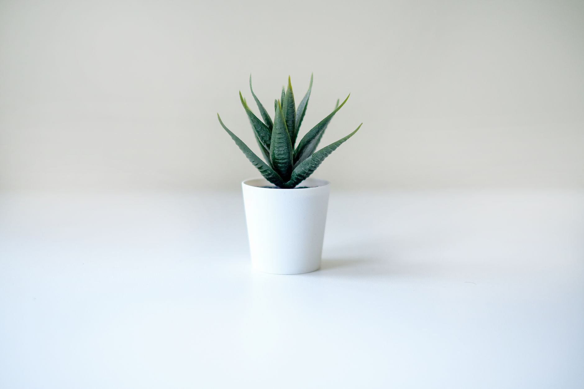 Exploring Natural Lubes: Your Guide to Gentle Intimacy
