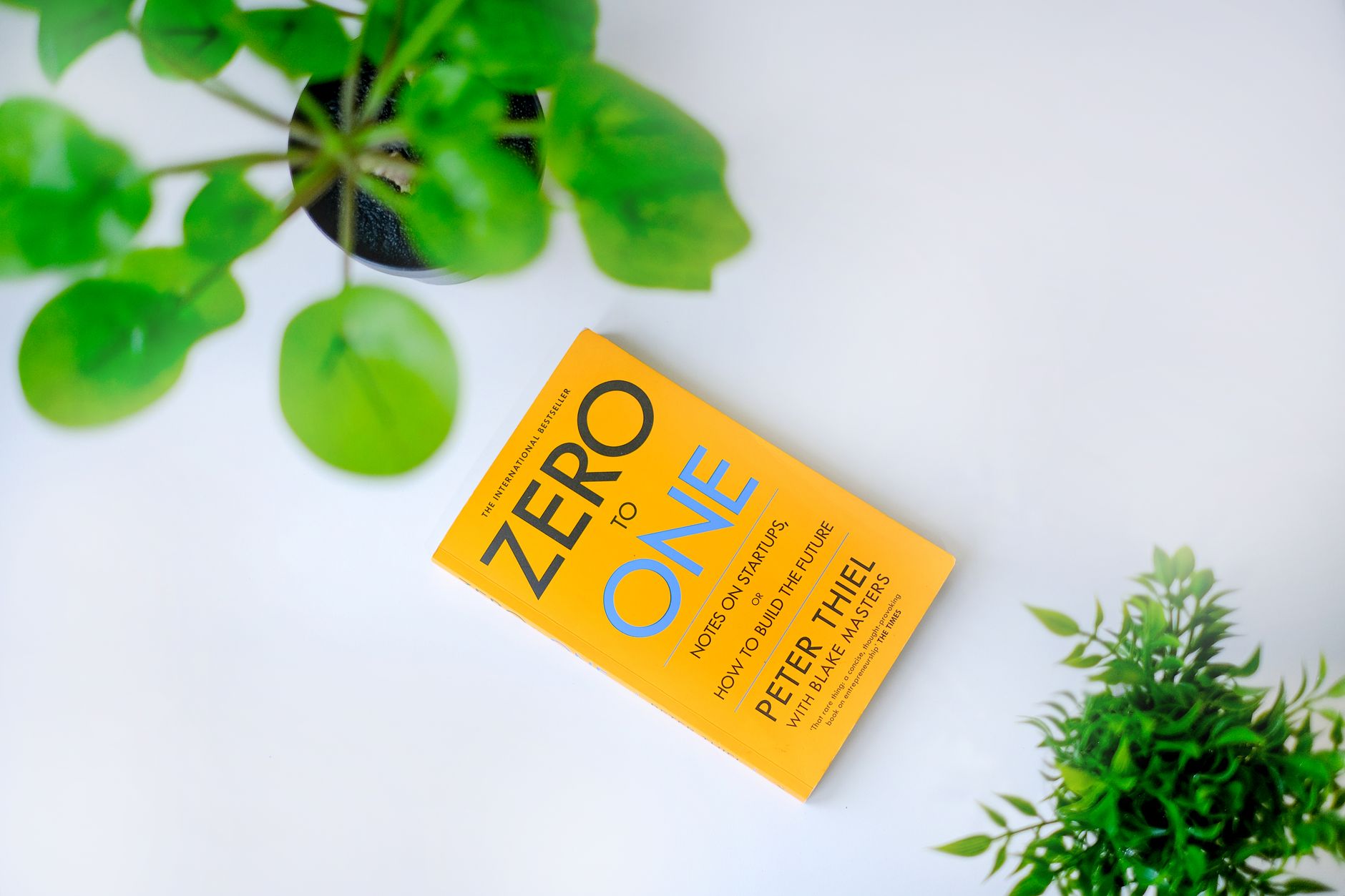 Top view of Zero to One book surrounded by green plants on a white backdrop