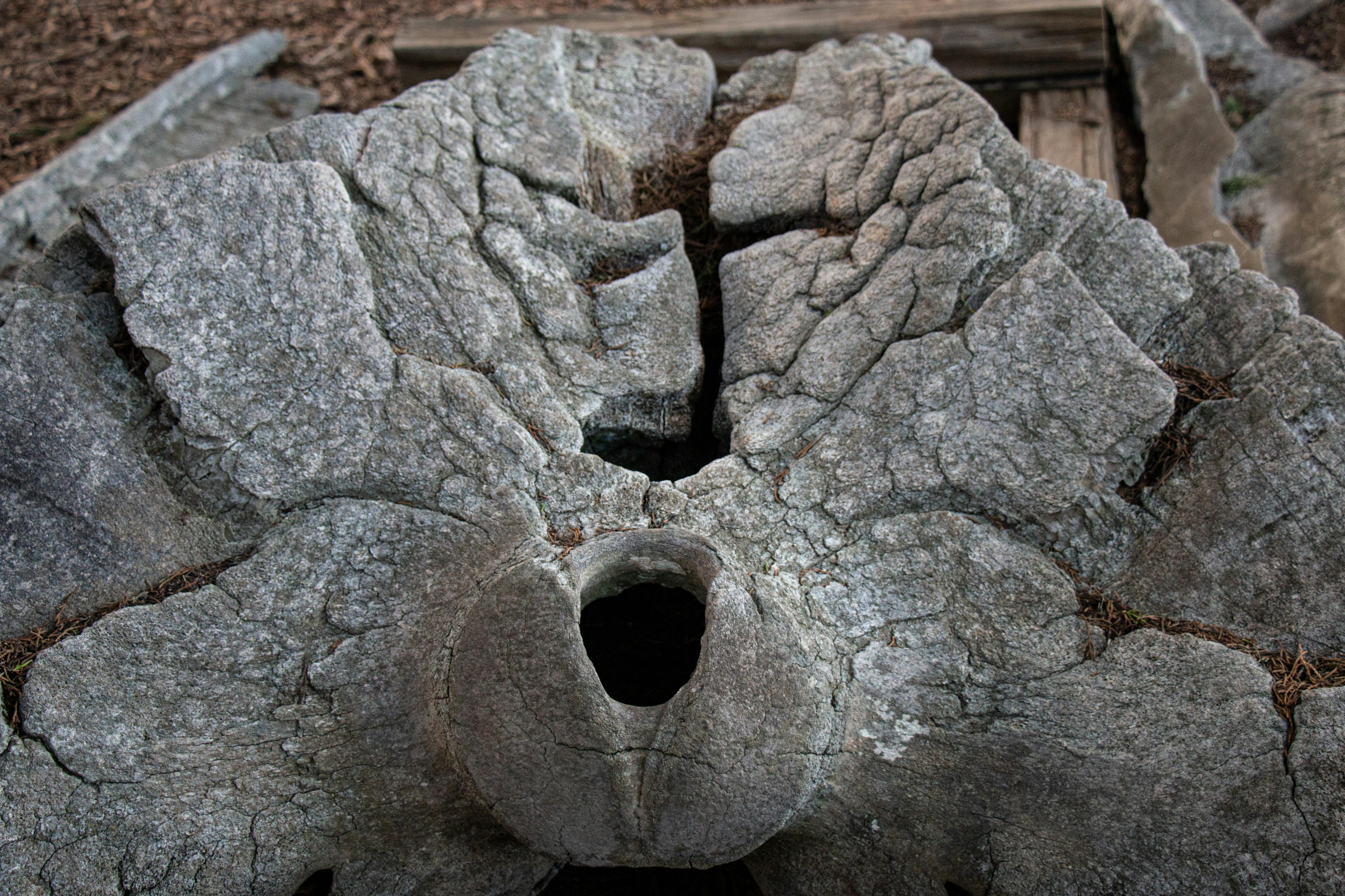 A conceptual image of a person writing notes