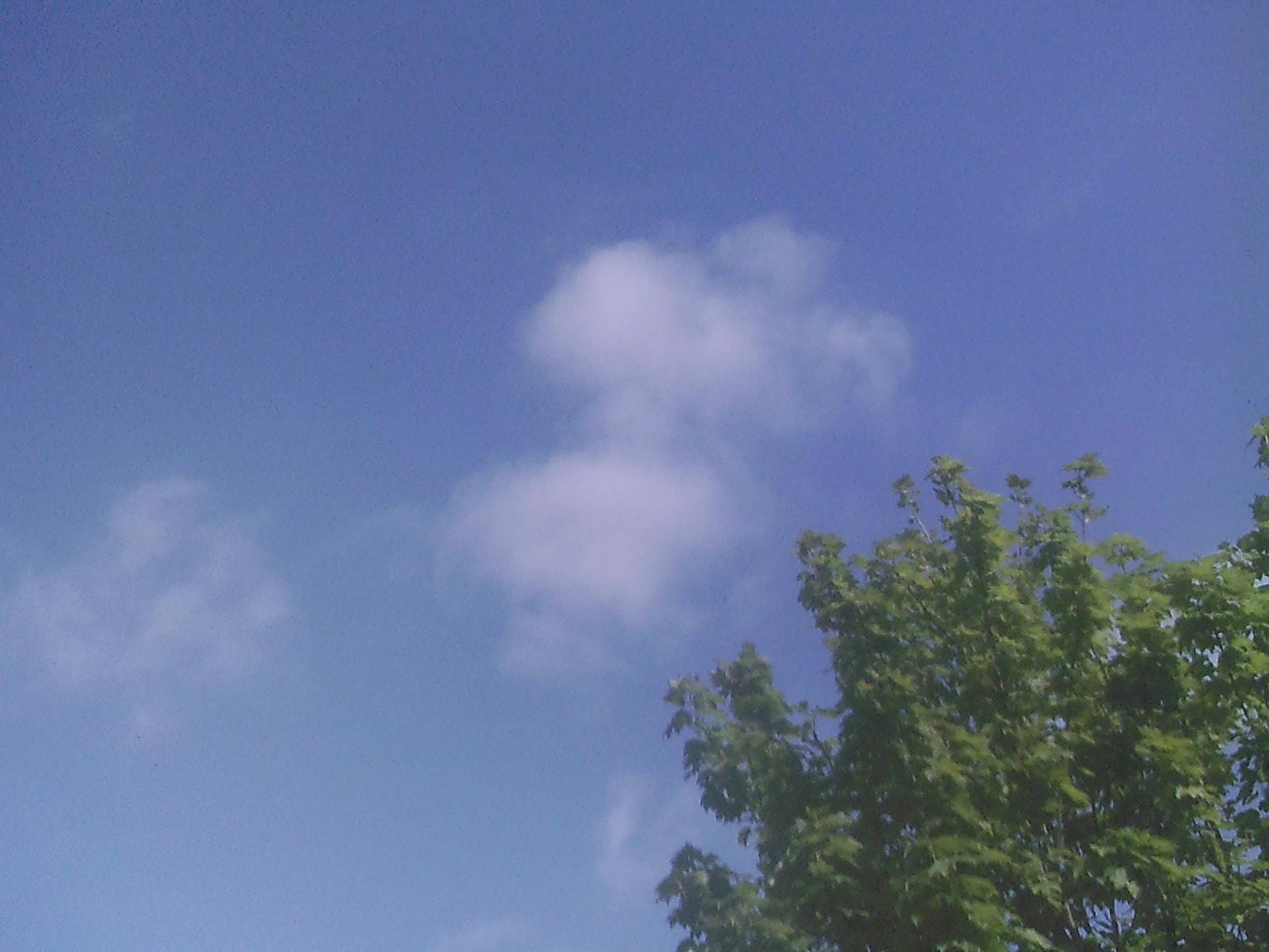 100 Gambar Awan Dan Pohon Paling Keren 100 Gambar Awan Dan Pohon Paling Keren