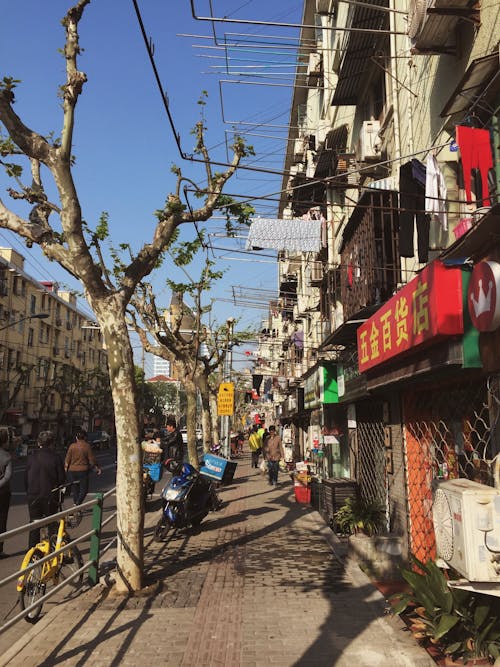 길, 나무, 중국의 무료 스톡 사진