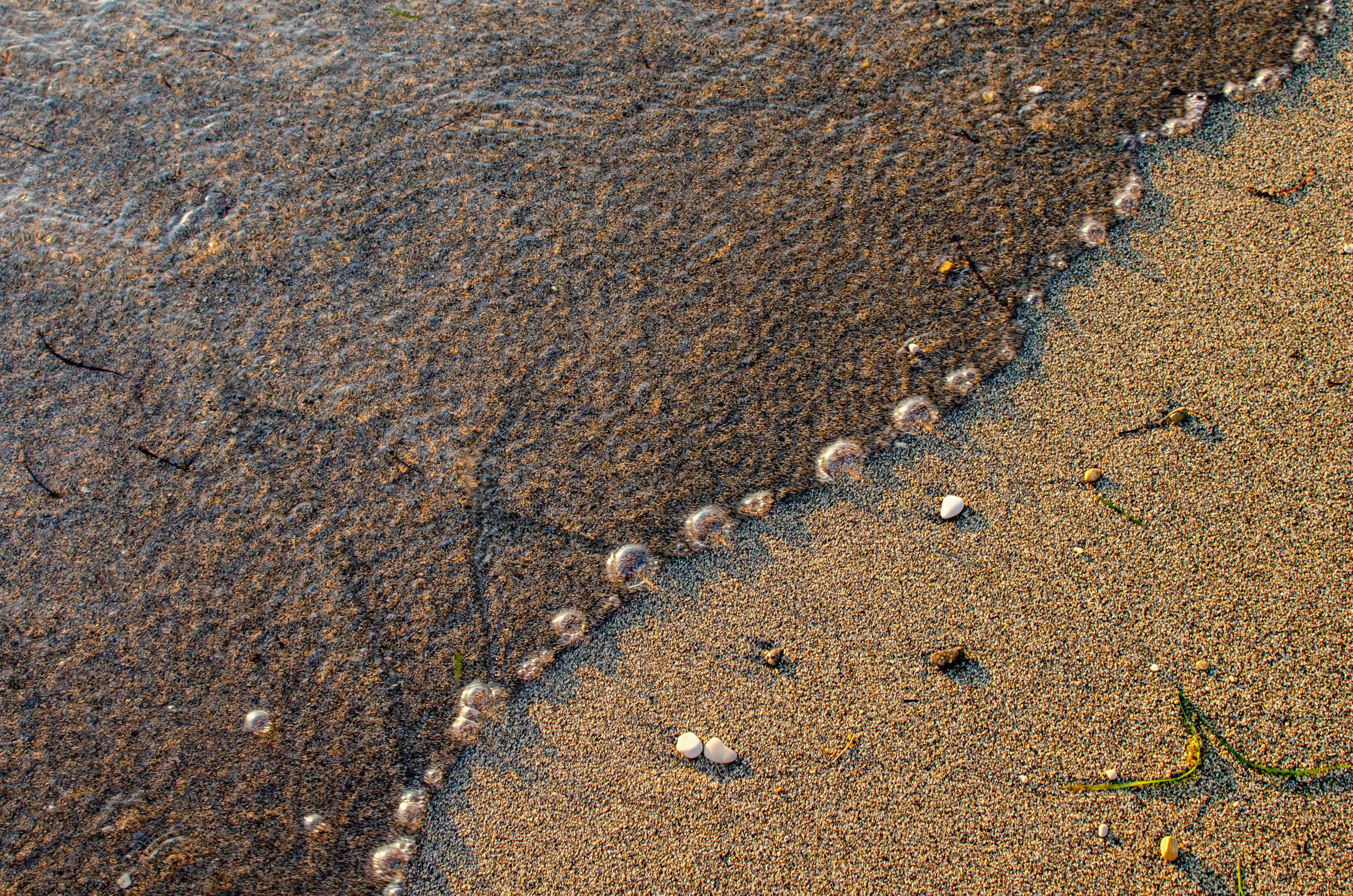 De franc Foto d'estoc gratuïta de @outdoor, a l'aire lliure, acomiadar-se Foto d'estoc