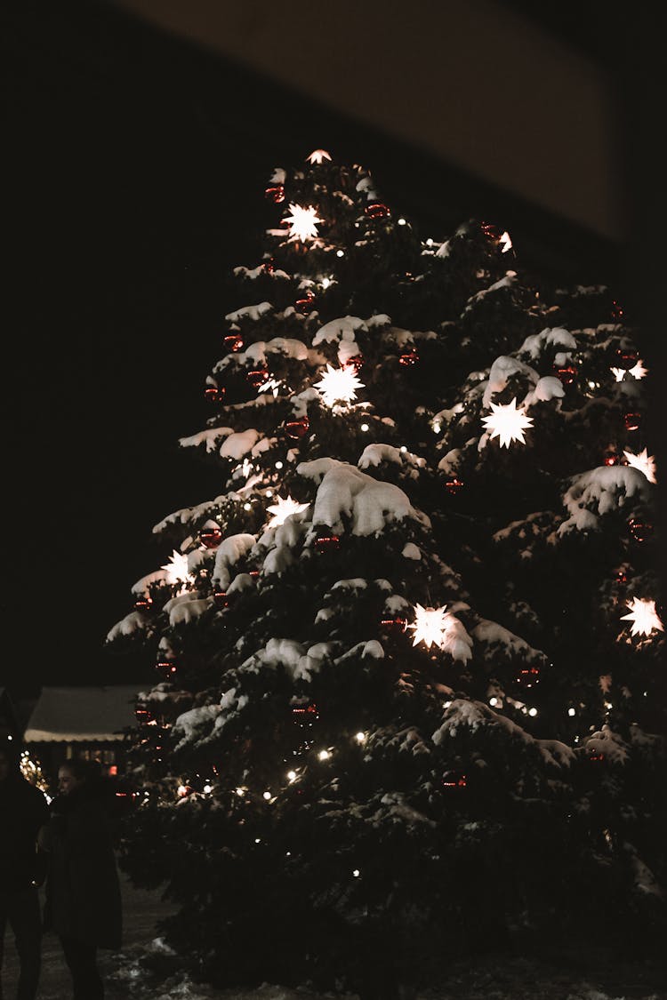 Christmas Tree At Night