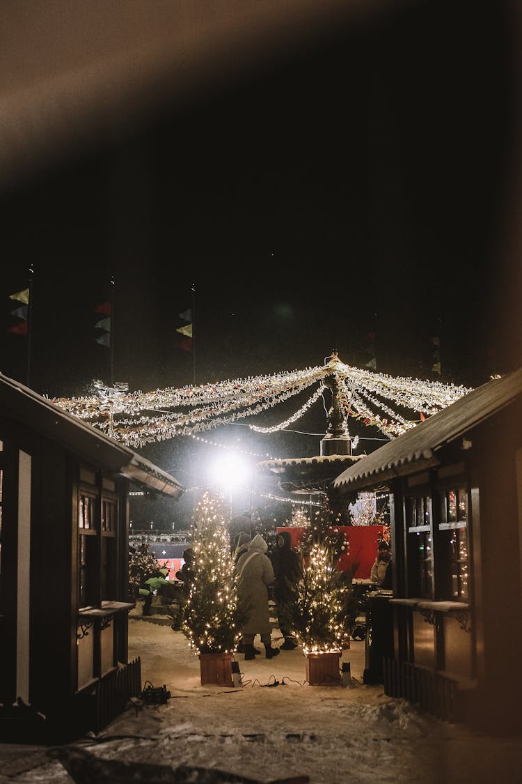 A Yard Decorated With Christmas Lights