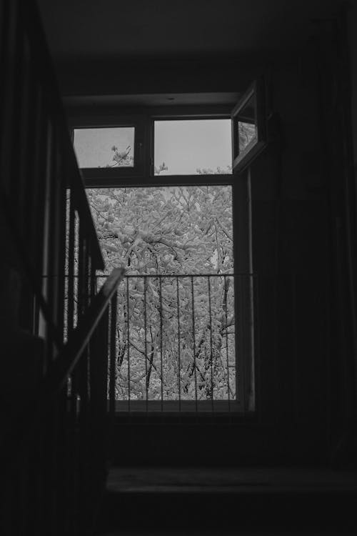 Black and White Photo of a Window in the Stairs