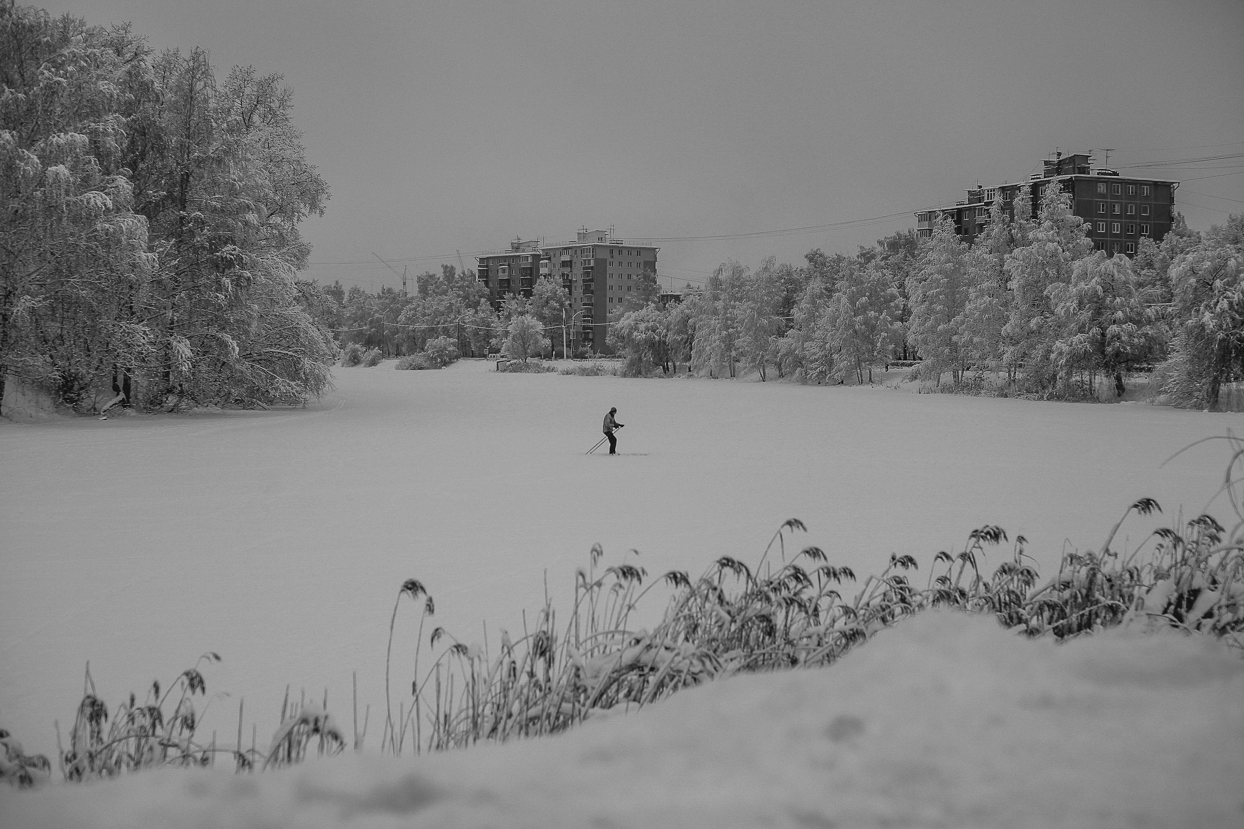 Snow-covered ski trails and rolling hills around Lake Pühajärv near Otepää