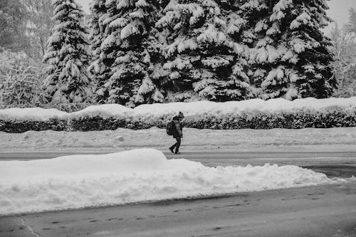 Fotobanka s bezplatnými fotkami na tému cesta, chladný, chôdza