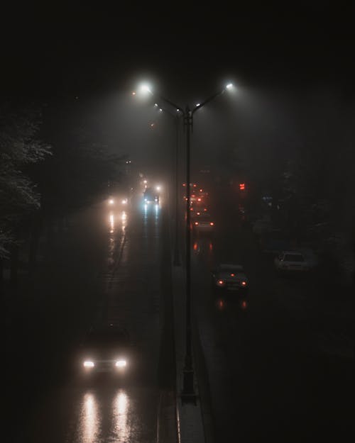 Cars on Road at Night