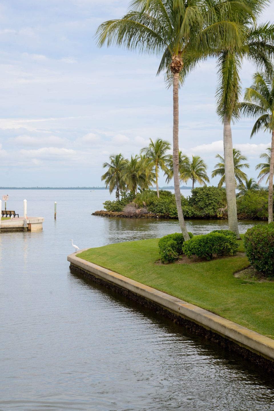 Palm trees on a lawn beside a seawall and calm water