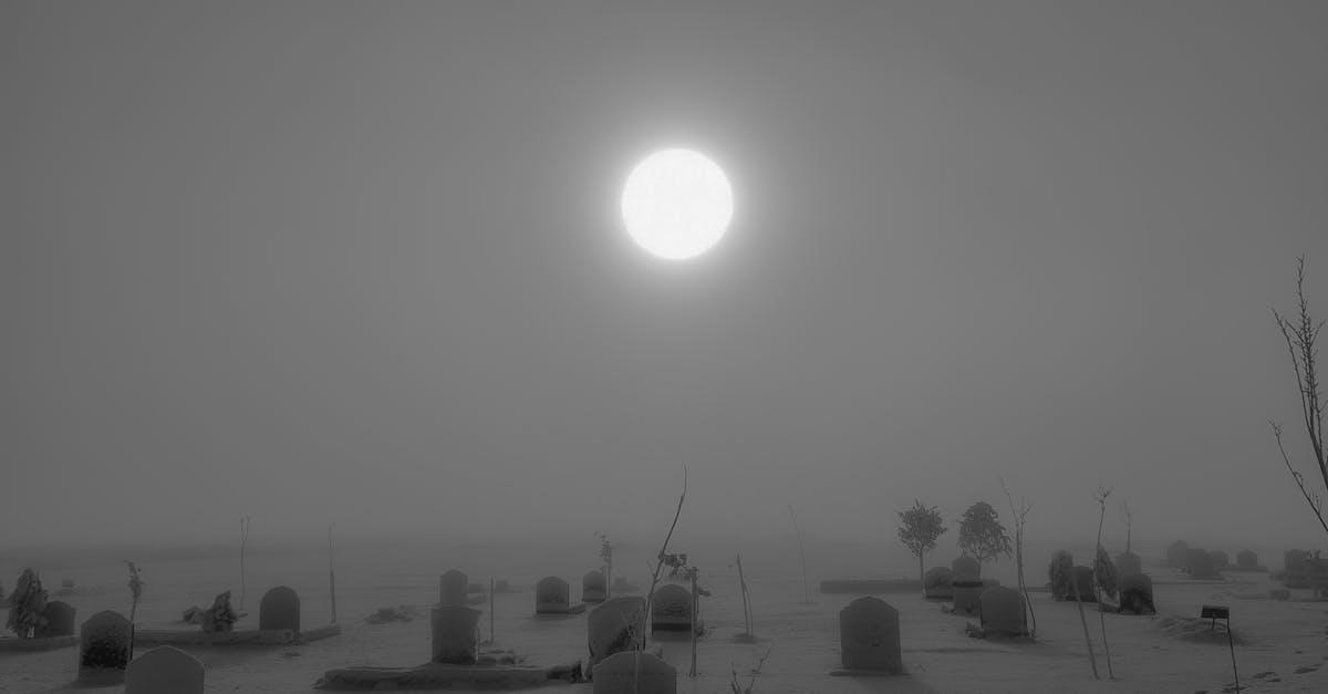 Sun above Cemetery in Winter · Free Stock Photo