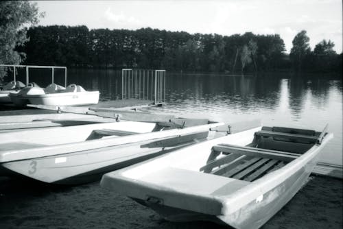 De franc Foto d'estoc gratuïta de barques, blanc i negre, llac Foto d'estoc