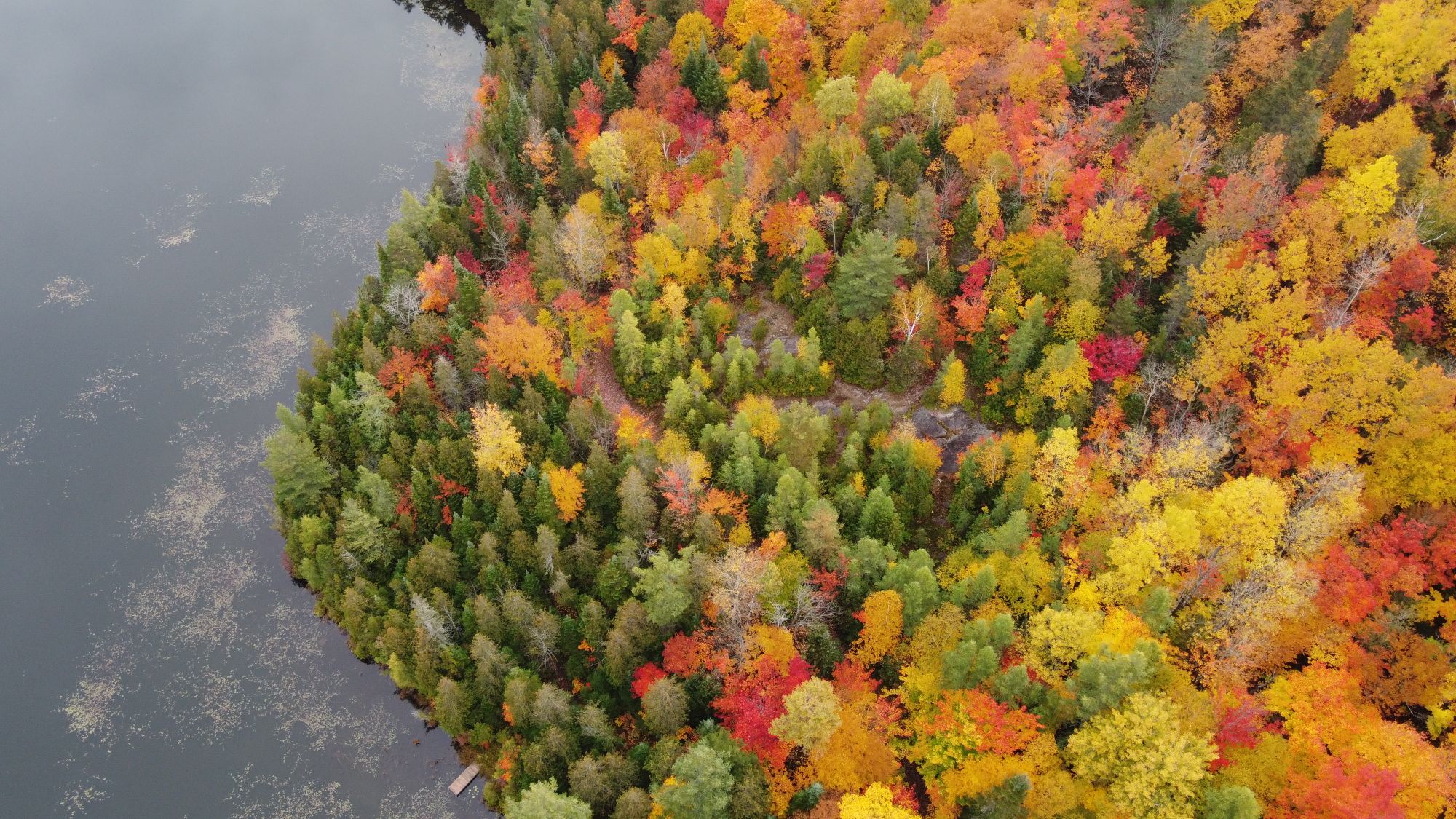 Vista aérea de un lago rodeado de bosque boreal y roca expuesta en el norte de Canadá