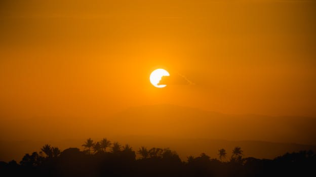 Beautiful orange sunset casting silhouettes over a lush forest landscape.
