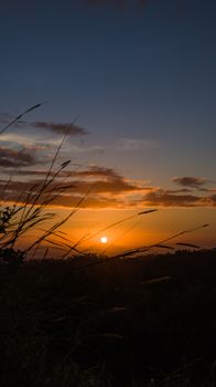 Beautiful sunset behind silhouetted grasses in a scenic countryside landscape.
