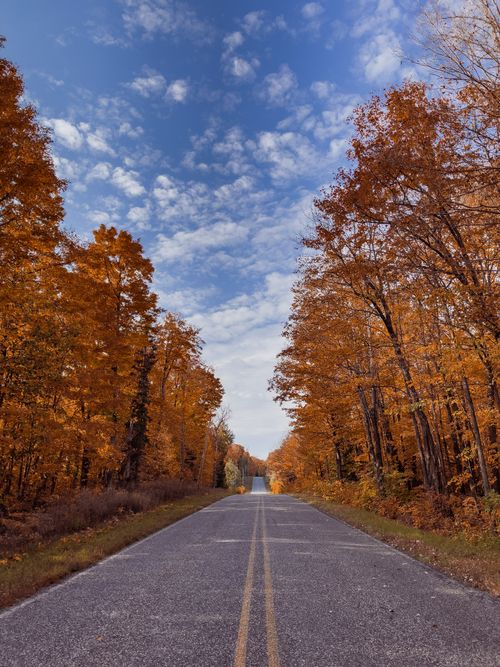 Free Explore a tranquil autumn road surrounded by vibrant fall foliage in Michigan's Upper Peninsula. Stock Photo