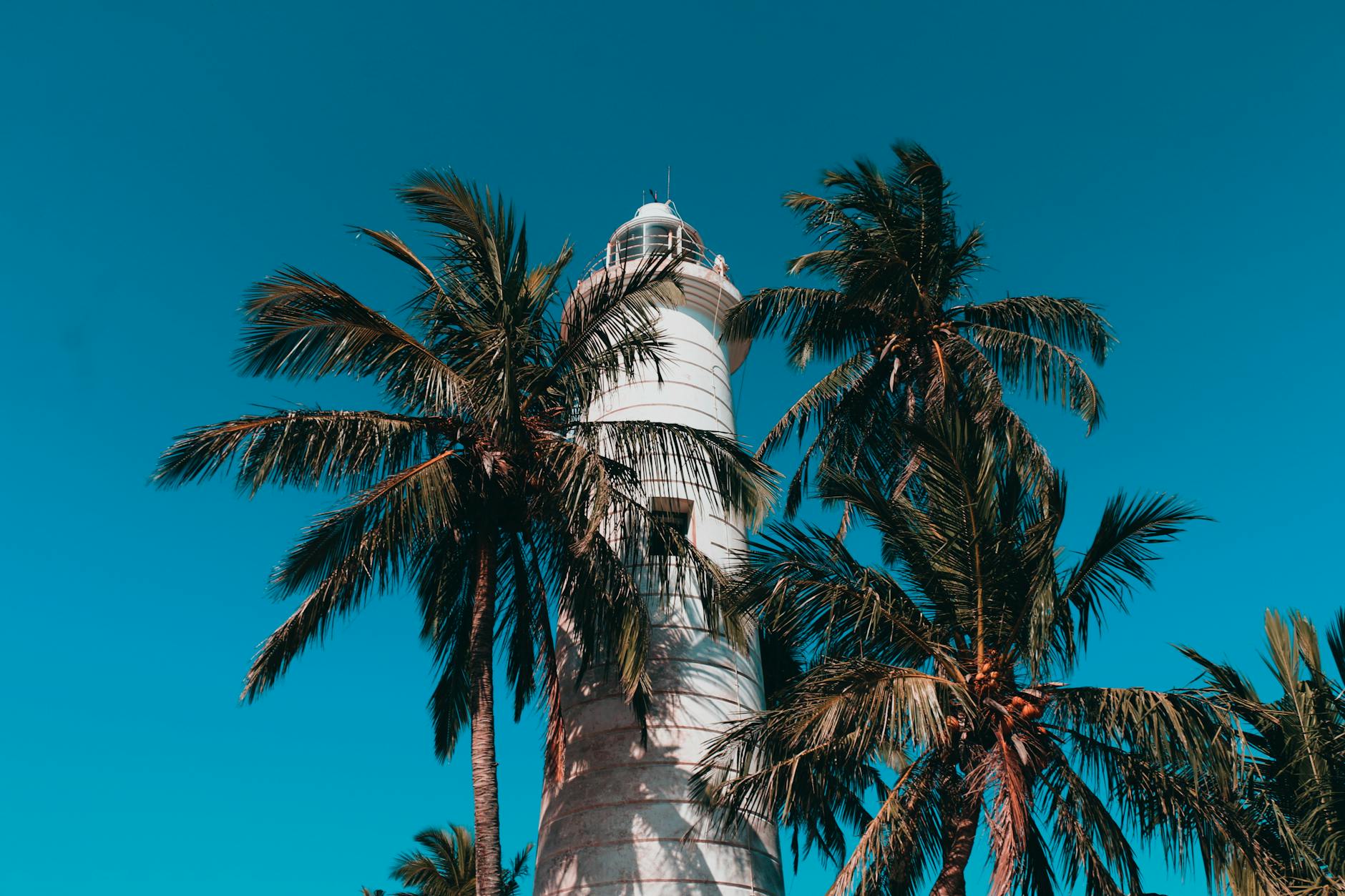 Palm Beach photo 2