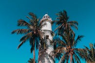 在晴朗的天空下，斯里兰卡的棕榈树和加勒灯塔的风景格外引人注目