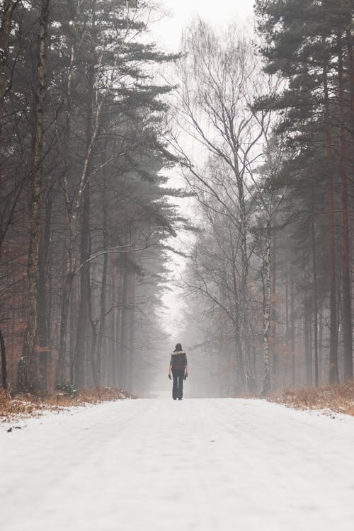 Person Standing in the Middle of the Road