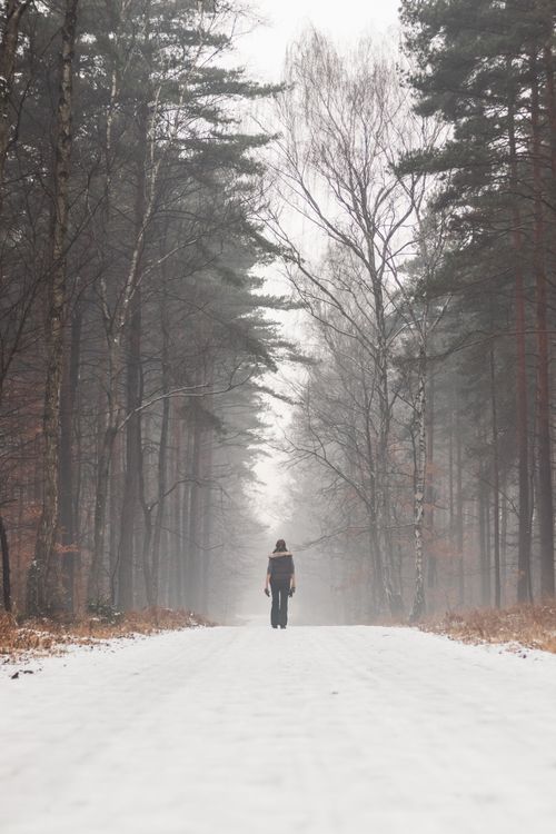 Free A person walks down a snow-covered road through a foggy forest in Poland. Stock Photo