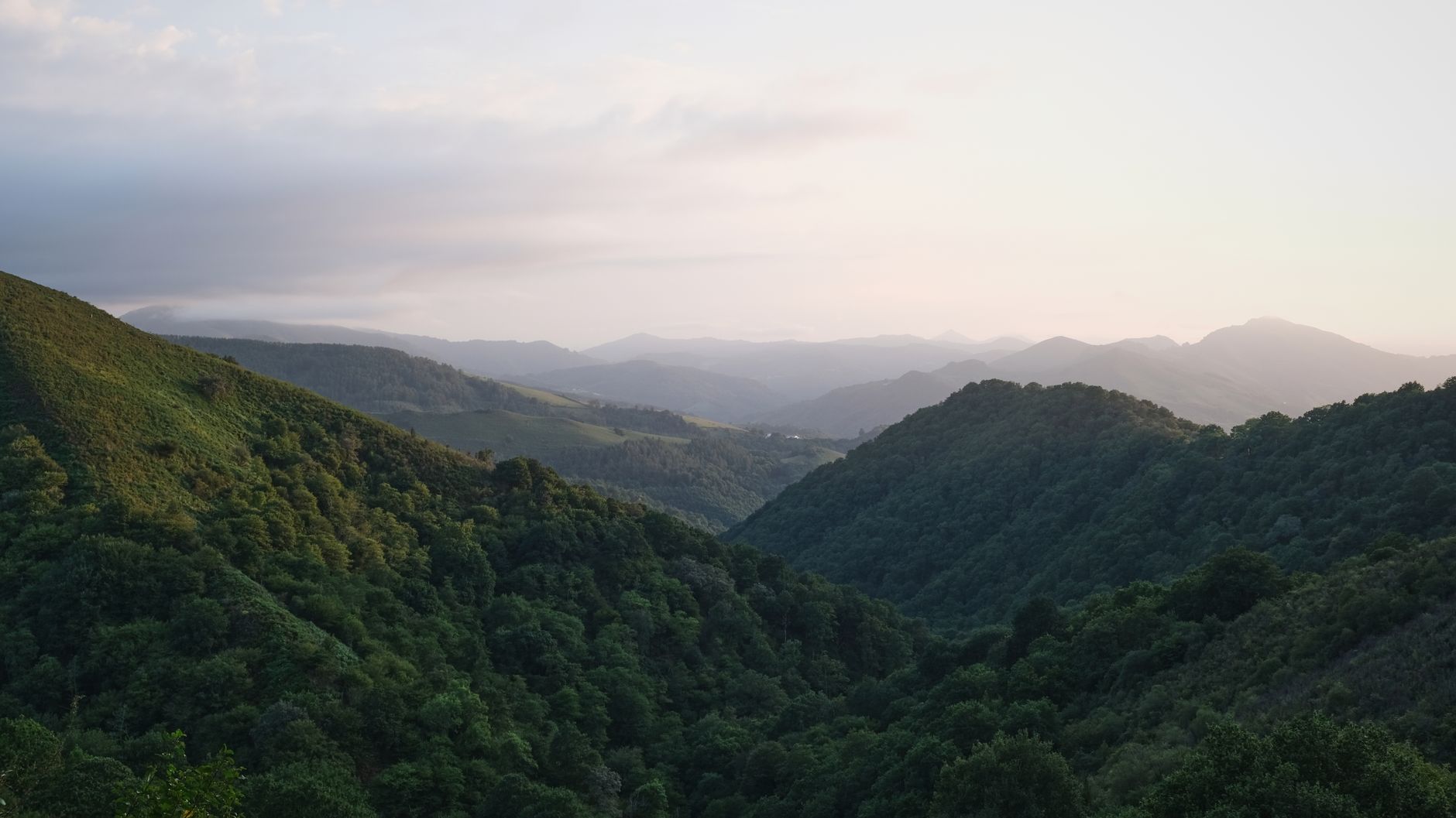 Serene landscape of lush green hills in Nouvelle-Aquitaine, France during daytime.