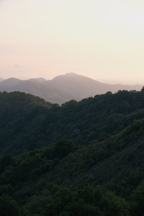 Landscape Scenery of Green Mountains