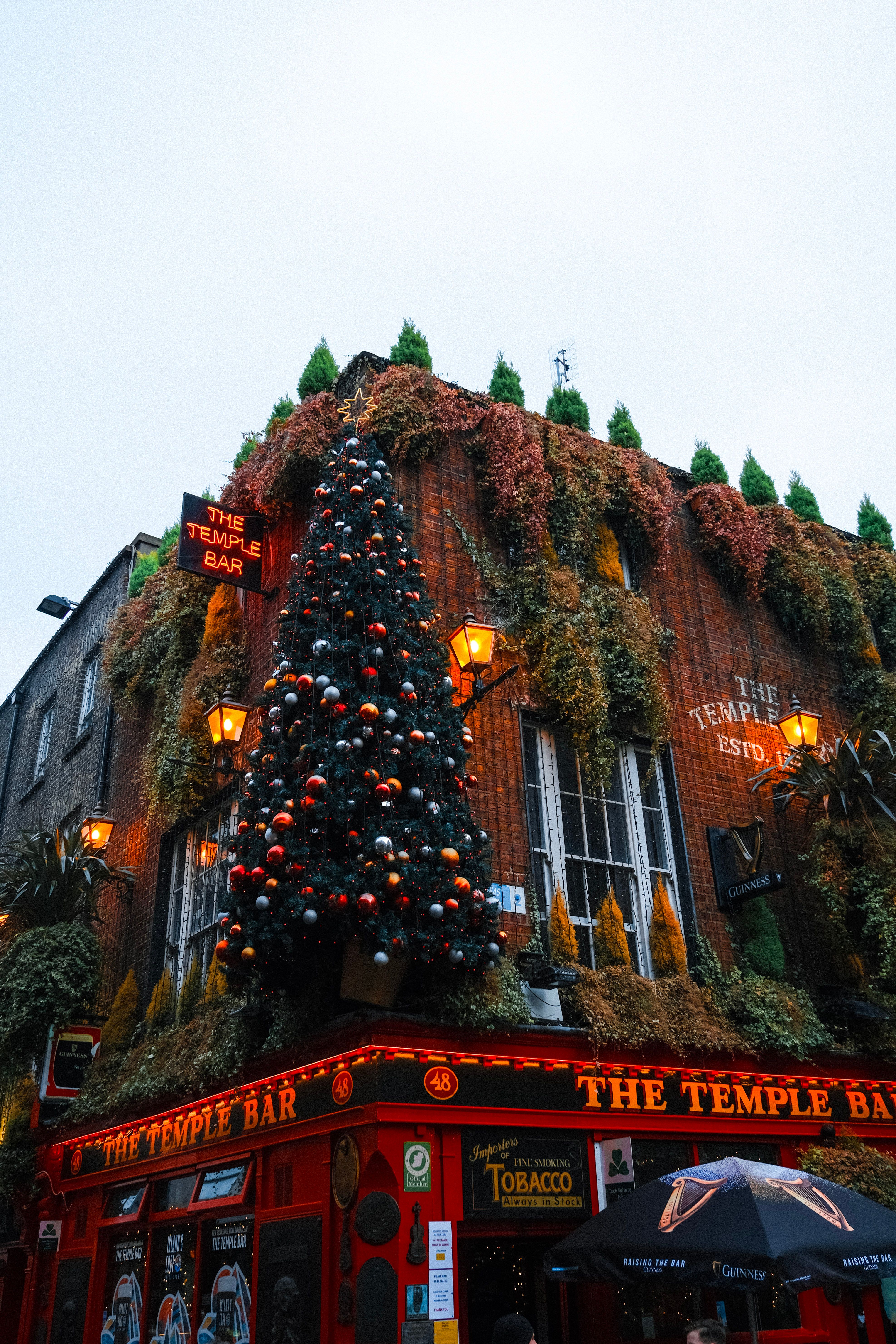 Christmas Tree on the Corner of The Temple Run Bar in Dublin, Ireland ...