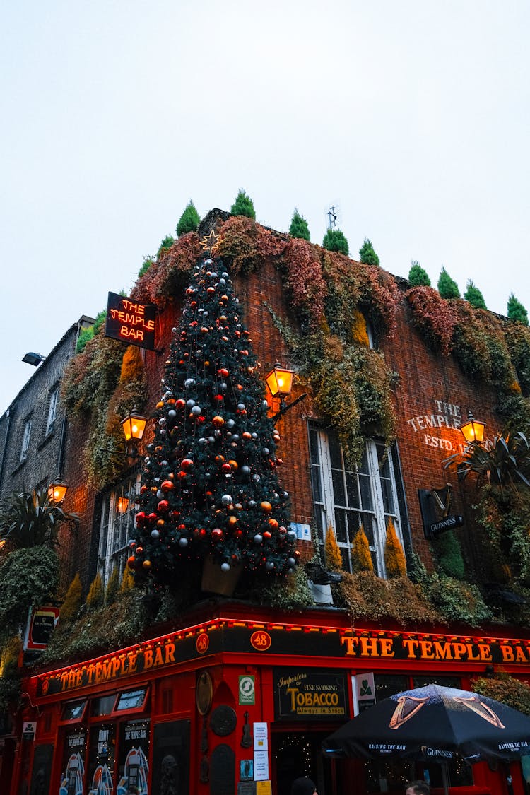 Christmas Tree On The Corner Of The Temple Run Bar In Dublin, Ireland