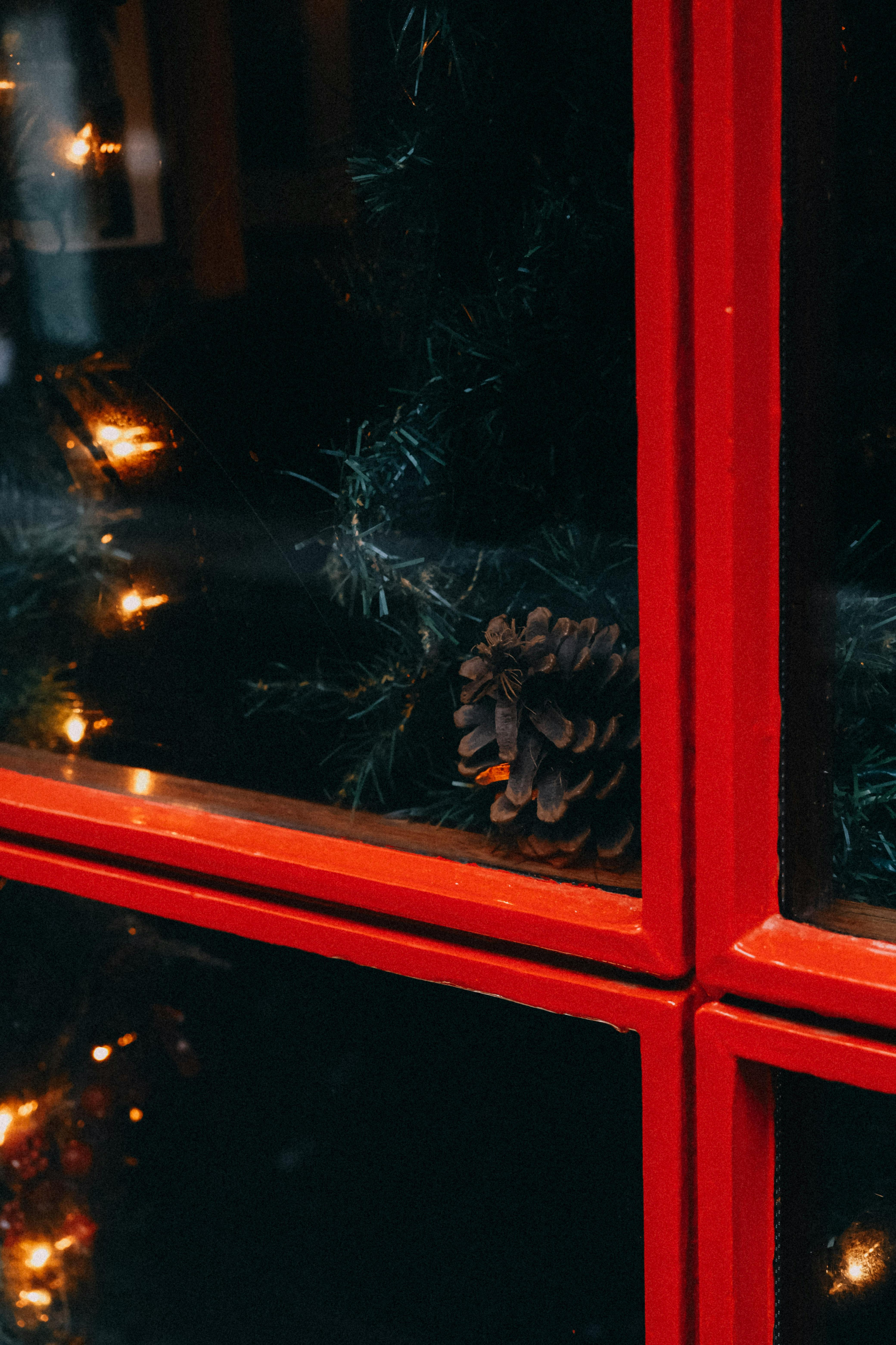 Close-up of a pine cone through a red window with holiday lights and coniferous decor.