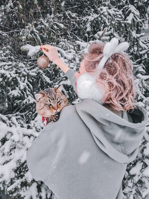 Immagine gratuita di albero di natale, animale domestico, biondo