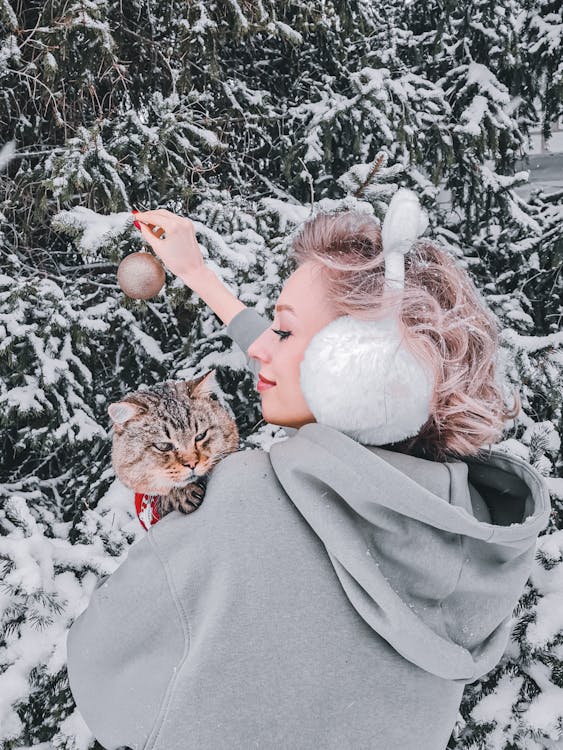 Immagine gratuita di albero di natale, animale domestico, avvicinamento