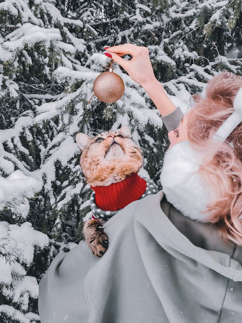 Woman Carrying a Cat Hanging a Christmas Ball