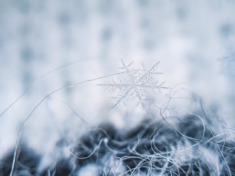 A Close-Up Of A Snowflake