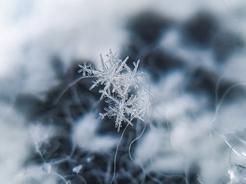 A Close-Up of Snowflakes