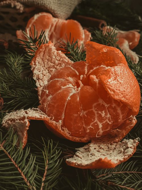 Free Close-up of peeled tangerine on pine branches, highlighting vibrant citrus freshness. Stock Photo