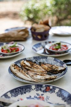Delicious outdoor lunch featuring grilled fish and fresh salad, perfect for a summer meal.