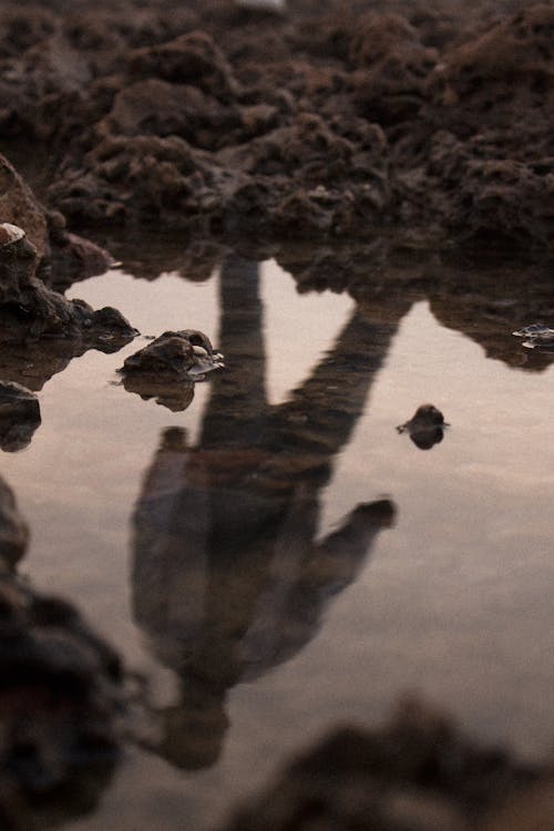 Základová fotografie zdarma na téma bahno, kaluž, mletý