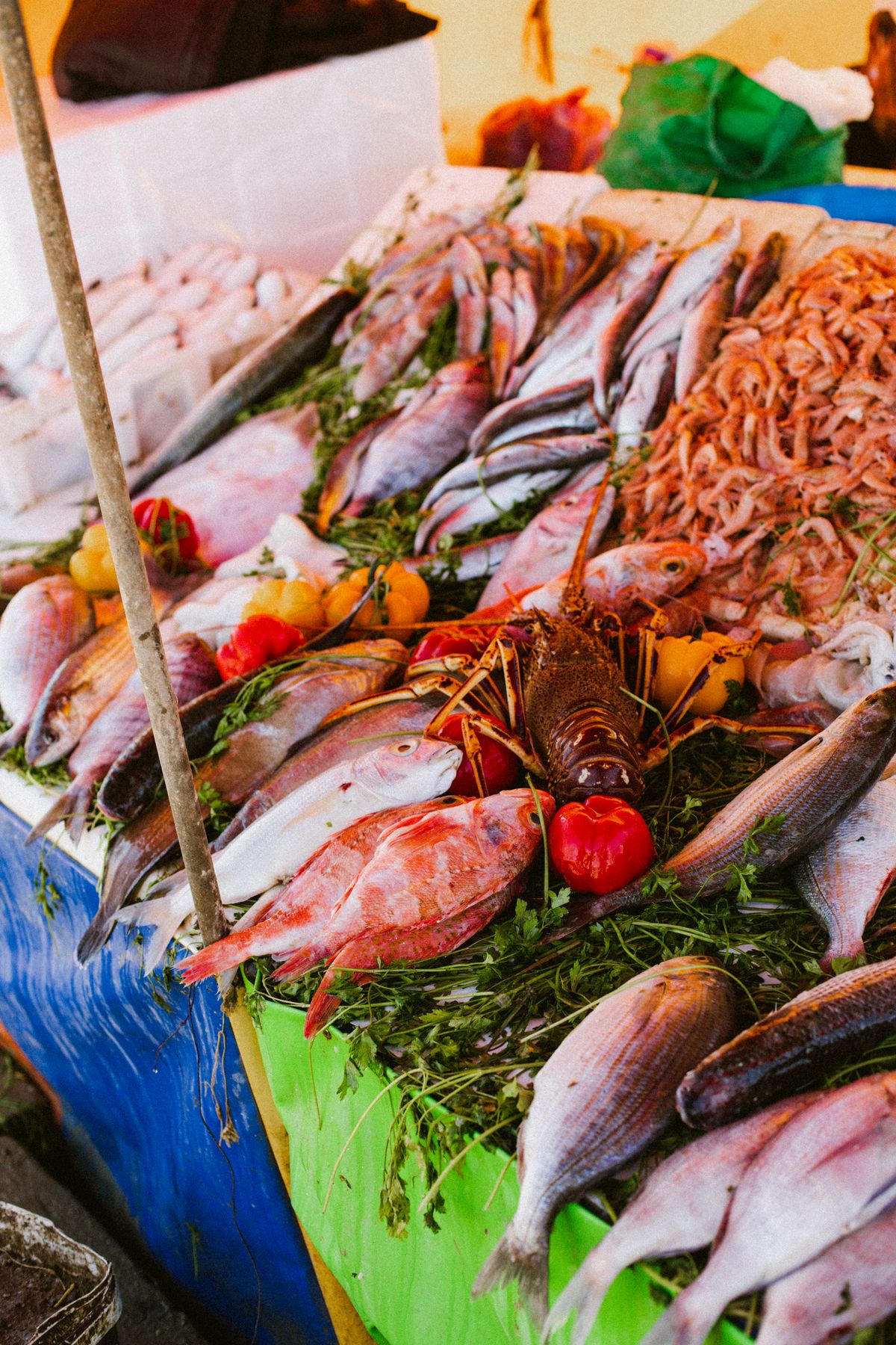 Meat & Seafood