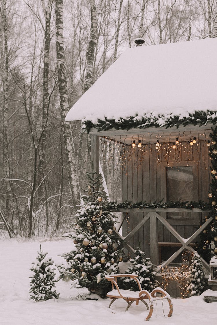 Wooden Cabin In The Forest Decorated For Christmas 