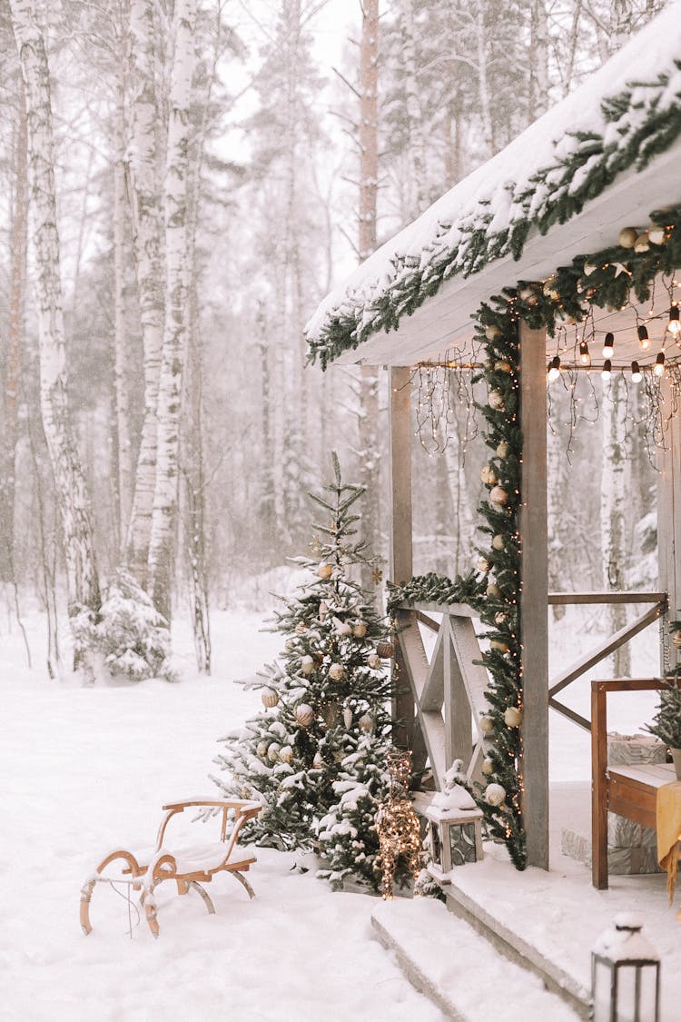 House In Forest With Christmas Decorations