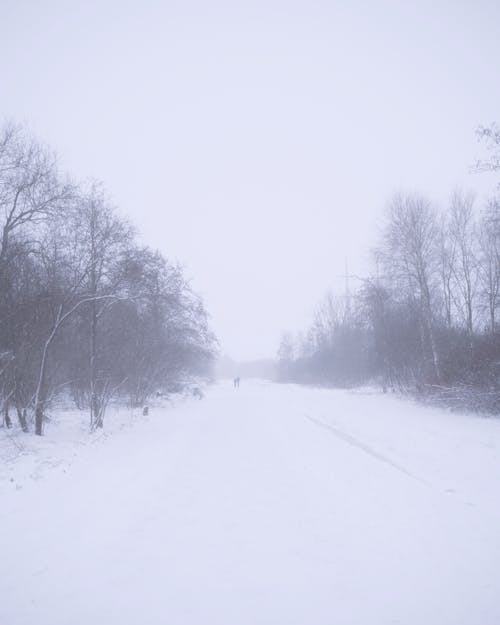 Fotos de stock gratuitas de blanco, Holanda, invierno