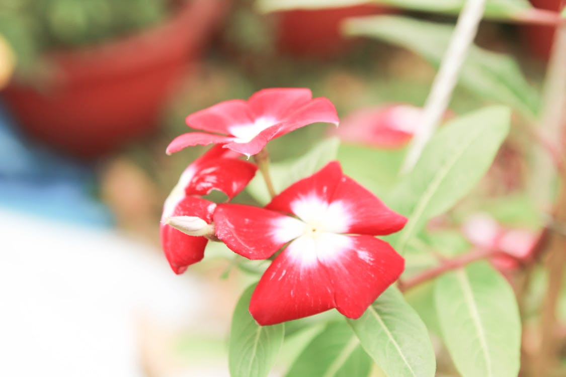 NASA MAVEN 火星探測器太陽合相危機:如何確保太空任務在通訊斷絕中持續運作? NASA MAVEN 火星探測器太陽合相危機:如何確保太空任務在通訊斷絕中持續運作?