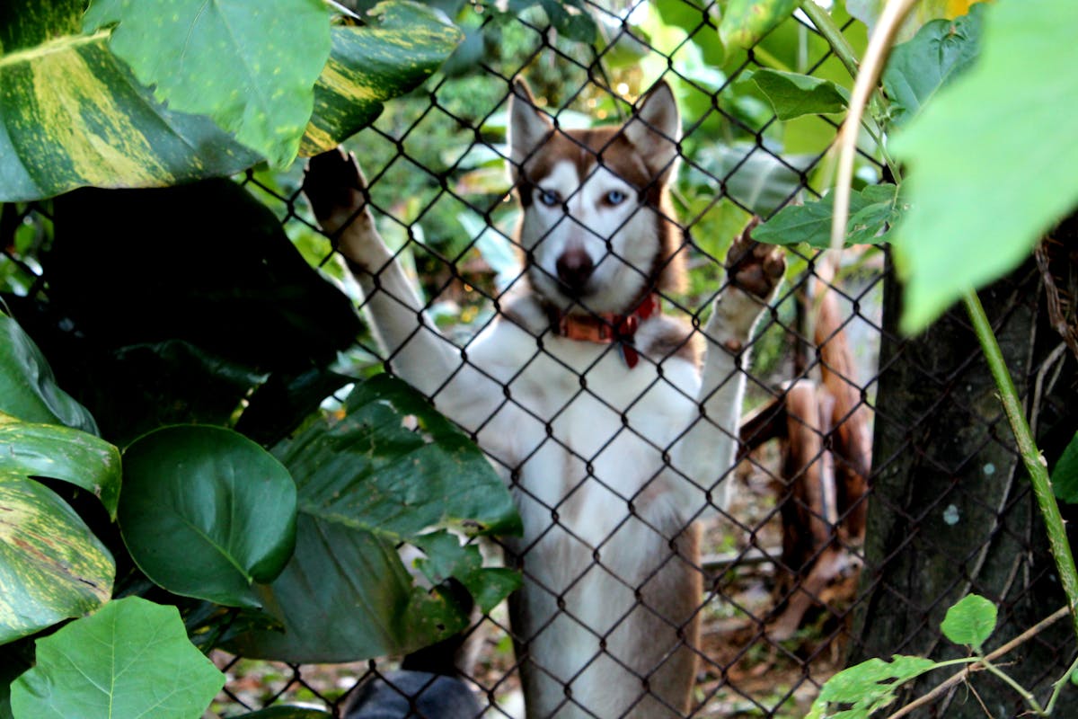 Developer working at a desk with virtual reality headset and multiple monitors