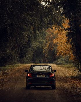 Black Car on Dirt Road in Between Trees