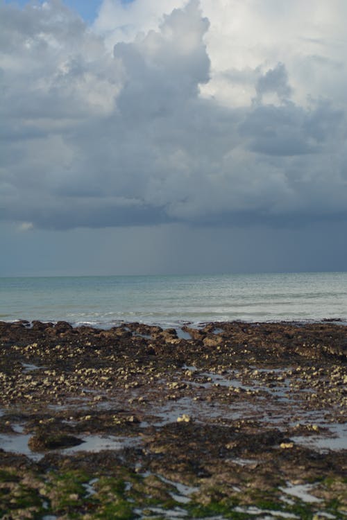 Brown Rocks on Seashore Under White Clouds