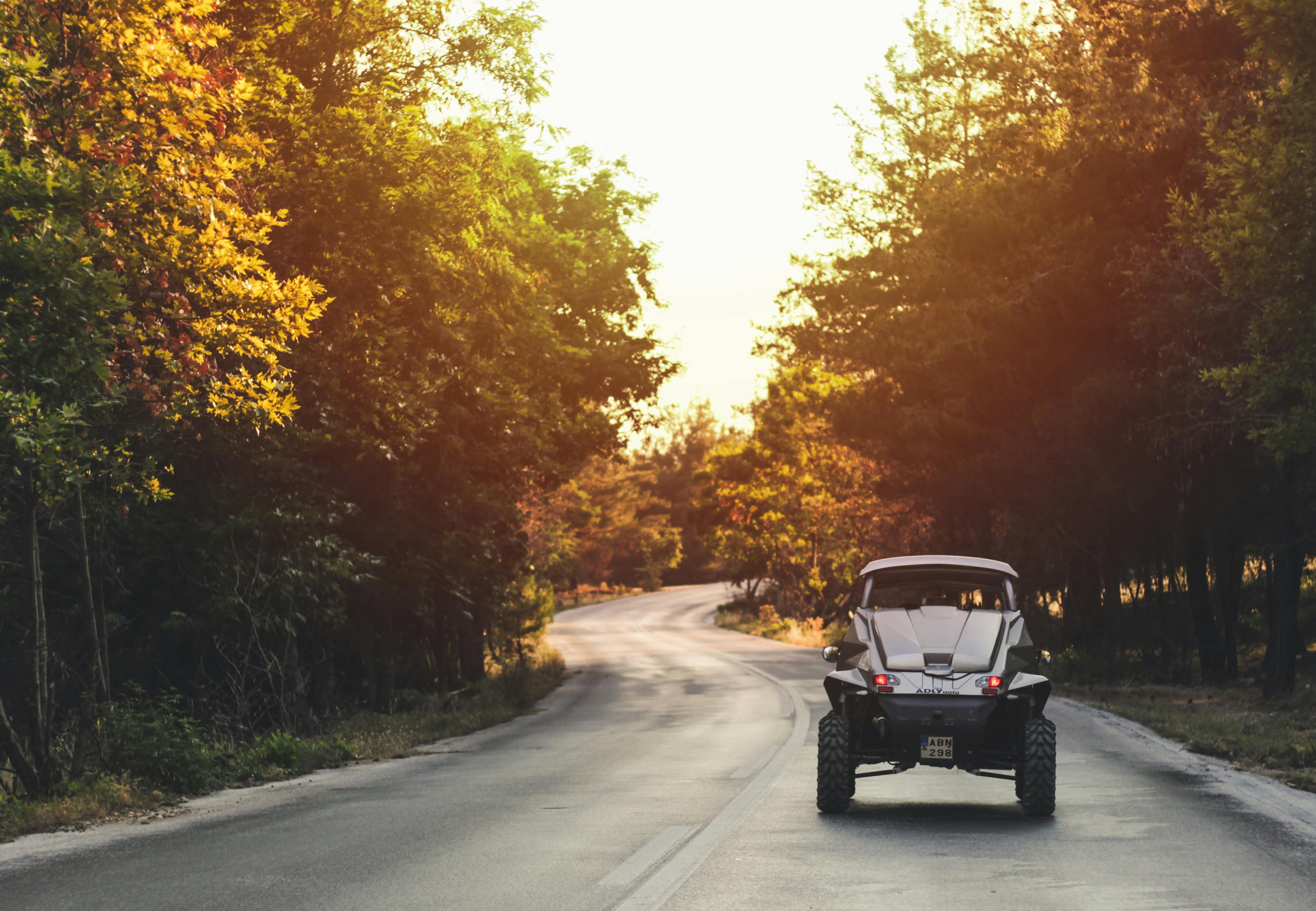驾车行驶在绿树成荫、阳光明媚的道路上，探索希腊塔索斯的宁静之美