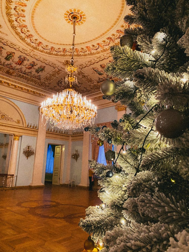 Christmas Tree In Ornamented Room